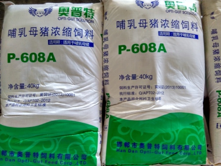 哺乳母猪料 P608A